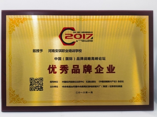 河南安琪被评为2017年度国际护理行业优秀品牌企业