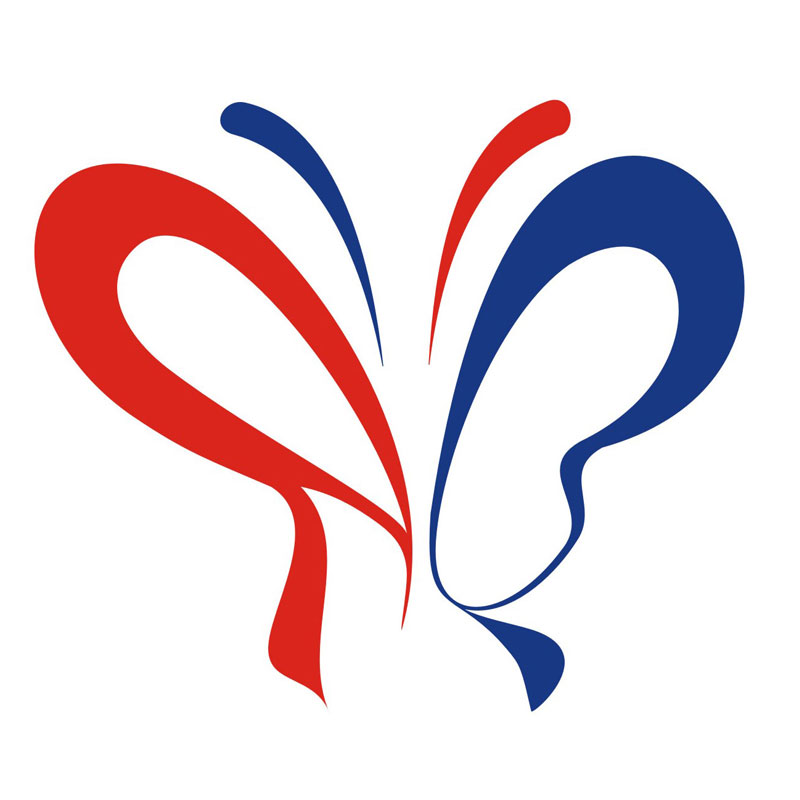 安琪Logo