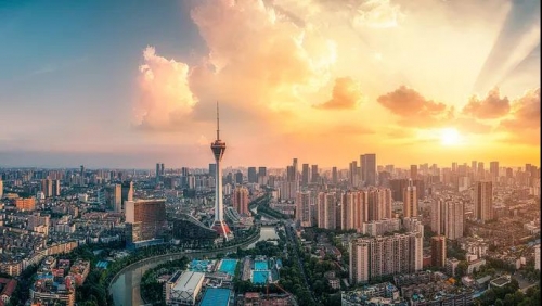 “疫情还没结束，工作没了”：比疫情更可怕的，是缺少这个能力