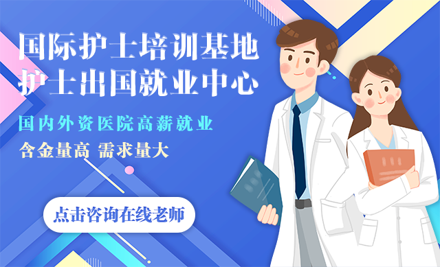 国际护士证
