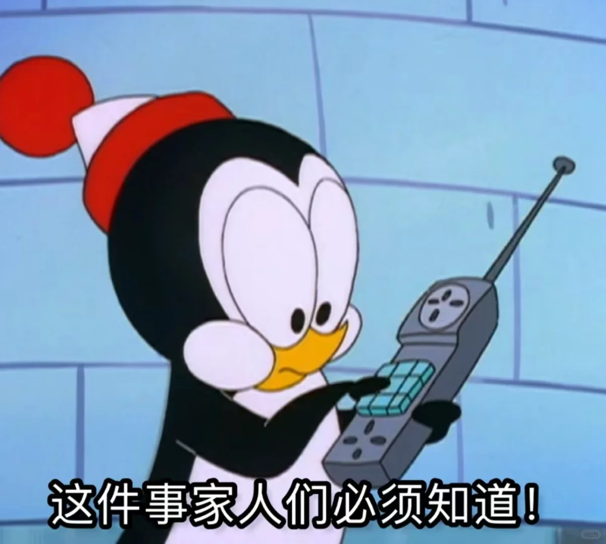 微信图片_20241113102944.png